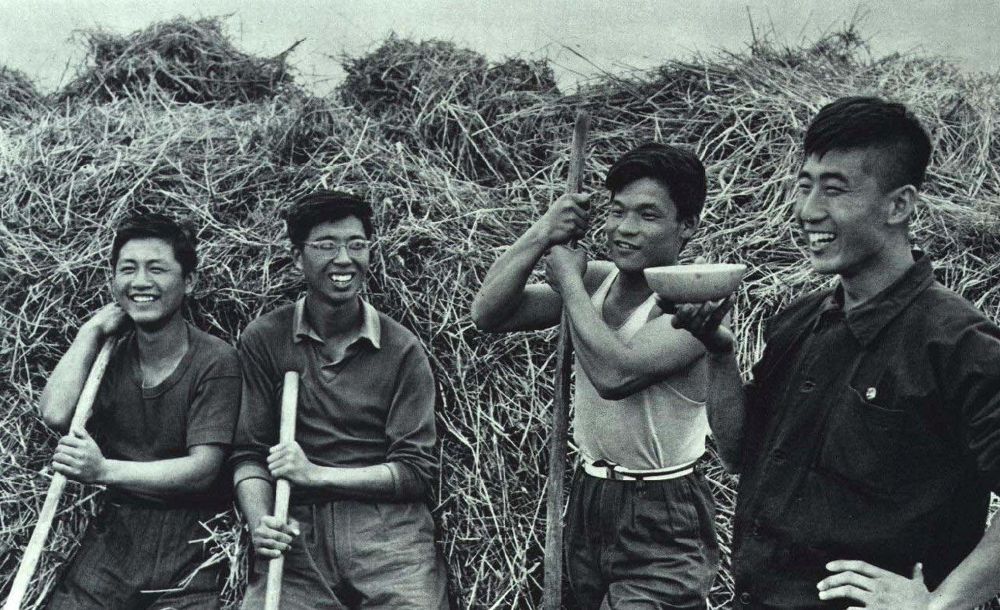 四个年轻人站在草垛前开怀大笑，一人端着瓢喝水